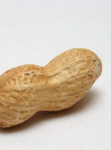 la-consommation-de-fruits-a-coque-pour-reduire-les-risques-de-deces-prematures-15062015214